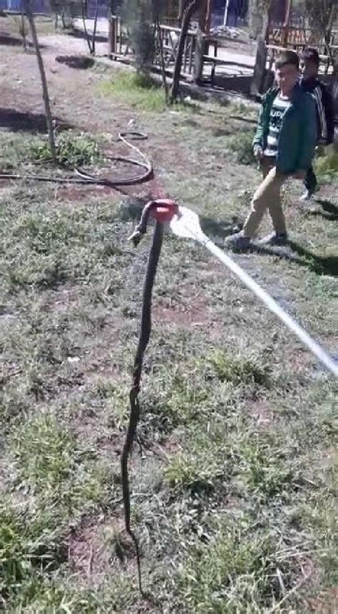 O­k­u­l­ ­b­a­h­ç­e­s­i­n­e­ ­g­i­r­e­n­ ­1­,­5­ ­m­e­t­r­e­l­i­k­ ­y­ı­l­a­n­ı­ ­i­t­f­a­i­y­e­ ­e­k­i­b­i­ ­y­a­k­a­l­a­d­ı­ ­-­ ­S­o­n­ ­D­a­k­i­k­a­ ­H­a­b­e­r­l­e­r­